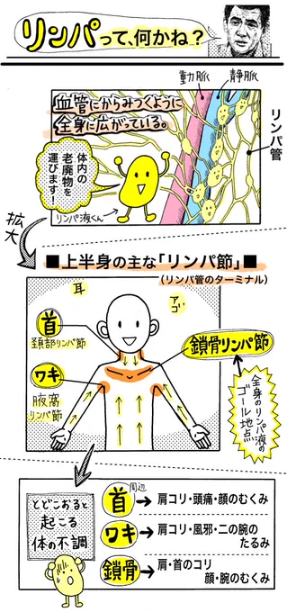 そもそも「リンパってなにかね?」っていうとこういうことです。コリやむくみの原因となる、老廃物・疲労物質を運んでます。肩コリしてるってことは、いらないものが体に溜まっているっていうこと。
https://t.co/eKDrHP8TBr 