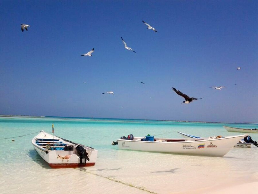 Isla la tortuga #Venezuela