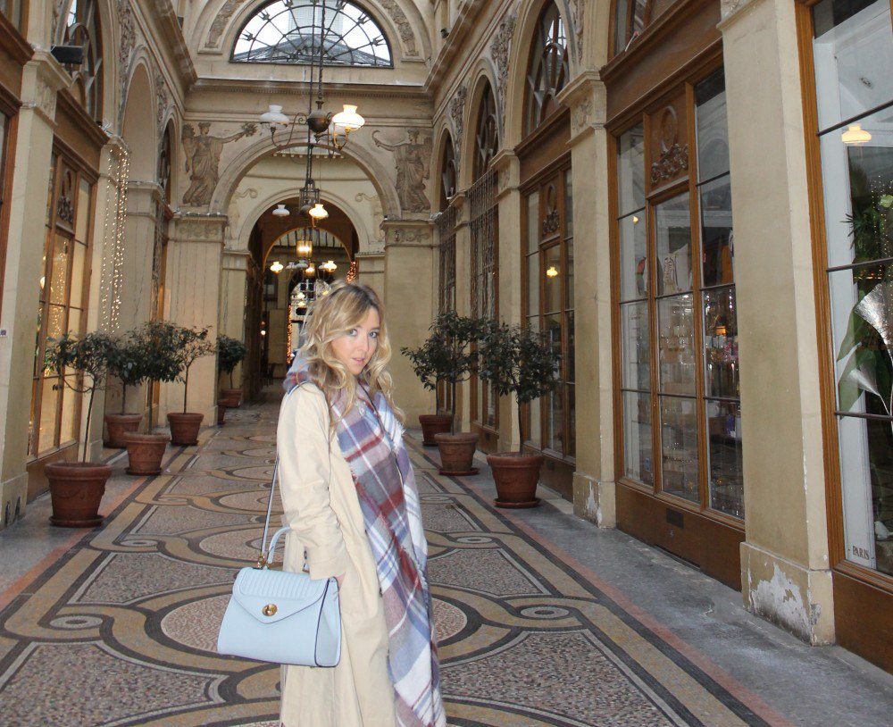 The Showroom Project tweet media