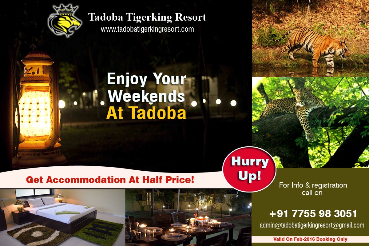 TadobaResort's tweet photo. Best jungle Resort In #Tadoba
Presenting a unique and exciting opportunity to come this Feb. https://t.co/qCjyEUmceg https://t.co/vM7xoCITCv