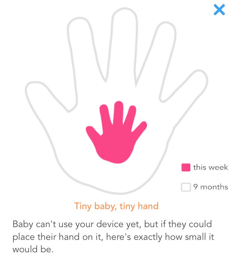 prolife_wife's tweet photo. 18 weeks today! My baby's hand is getting so big! 
#LifeBeforeBirth #UnbornLivesMatter #Prolife https://t.co/pzr8RgsIyr