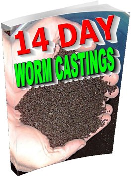 OrderYourDomain's tweet image. 14 Day Worm Castings Books, produce organic fertilizer while raising the best fishing worm! ow.ly/YDjFk