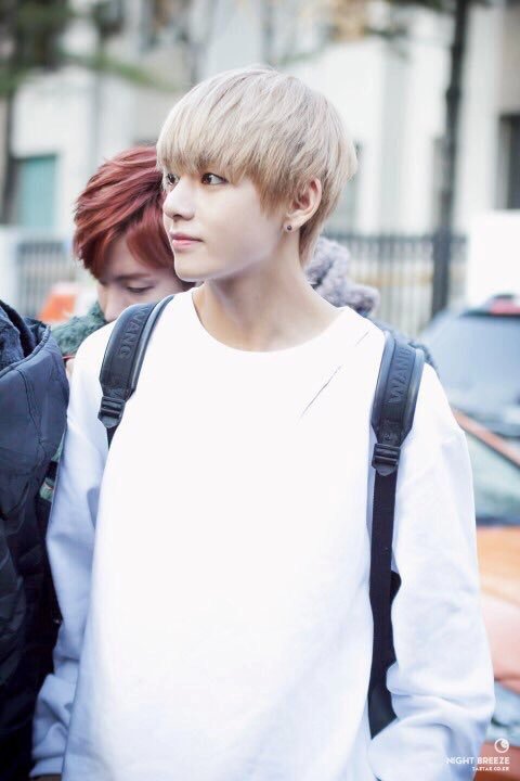 Oreo ᵏᵒᵒᵏᶦᵉ On Twitter White Hair Taehyung Is Such A