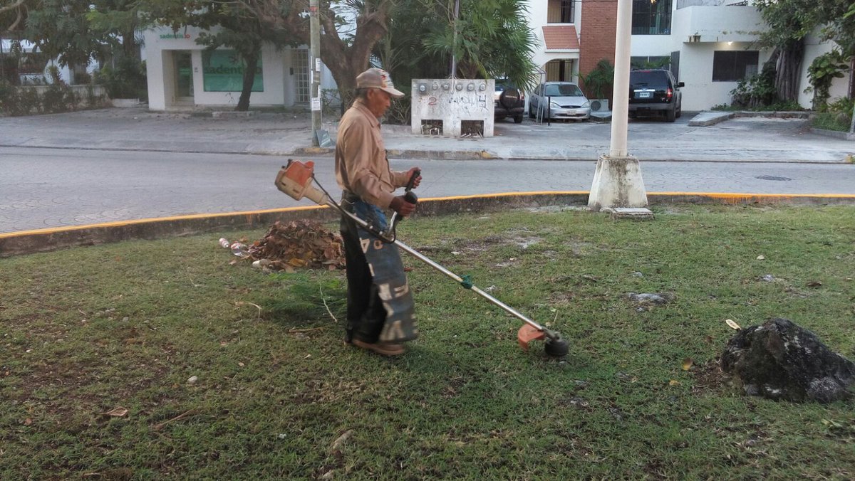 EmmanuelZetina's tweet photo. @Parques_BJ trabajos de limpieza n #AvNader / #GarciaDeLaTorre #ResultadosQueTransforman @PaulCarrillo2 @AytoCancun https://t.co/Q0gaa4Yzzc