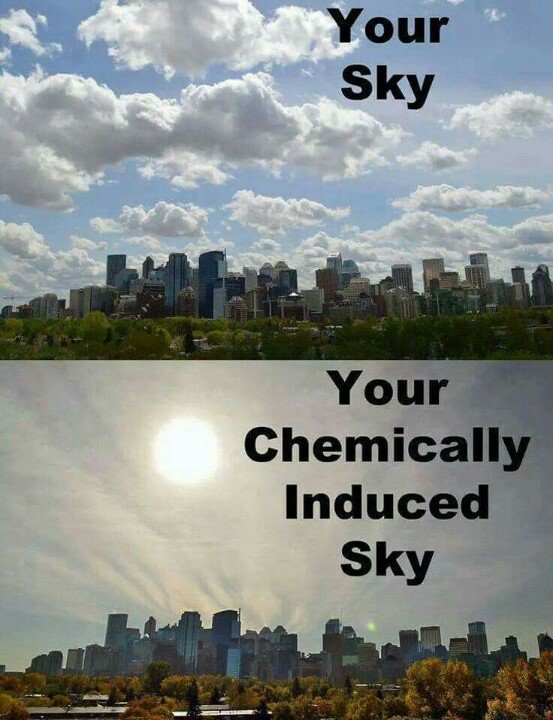 lek_black's tweet photo. @jace3312  @SkyWatchrs @redding_red @iain39 @karentalford66 Our sky #GeoEngineering #chemtrails #NWO #OpChemtrails https://t.co/dFOP24q4Ms