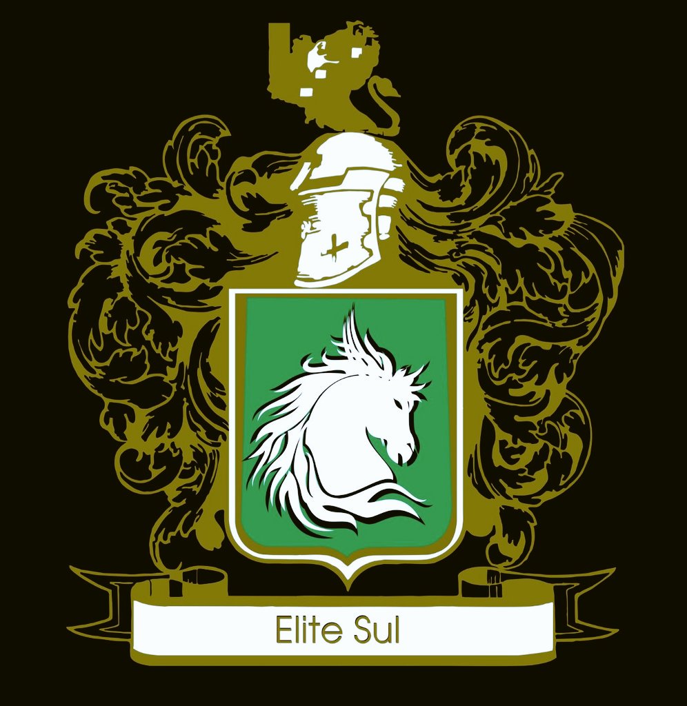 IMOBCrazy's tweet photo. FIIIM, 4 ano findou, e a Elite ganhadora da taça das Elites foi a Elite Sul💚🔥 parabéns a todos! https://t.co/ZGCor6SfAN