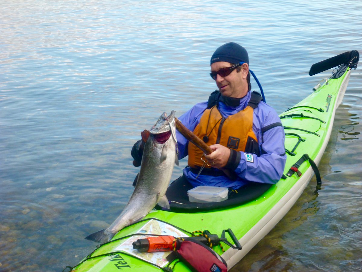 sunshinecoastca's tweet photo. RT @bcseakayak: Catch of the day - on a Desolation Sound kayak tour #westcoast #tourismBC
https://t.co/YIoxhGtXM7 https://t.co/Y0R2NPi769