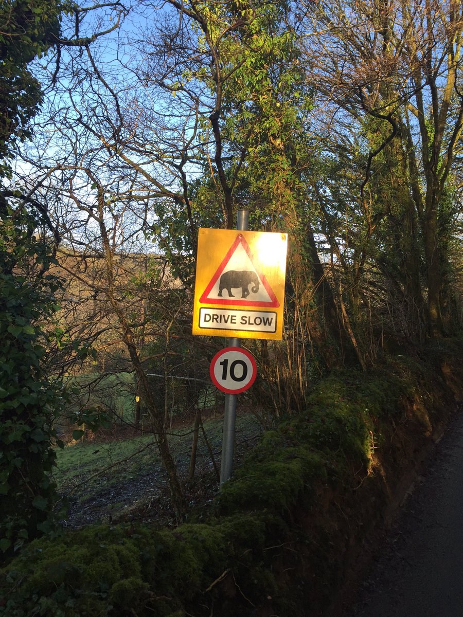sootmeister's tweet photo. Not often you come across a road sign in #Wales like this #Carmarthen #SkandaVale #Monestary #Tarmac #CoyleSurfacing https://t.co/lggrjrVbqu