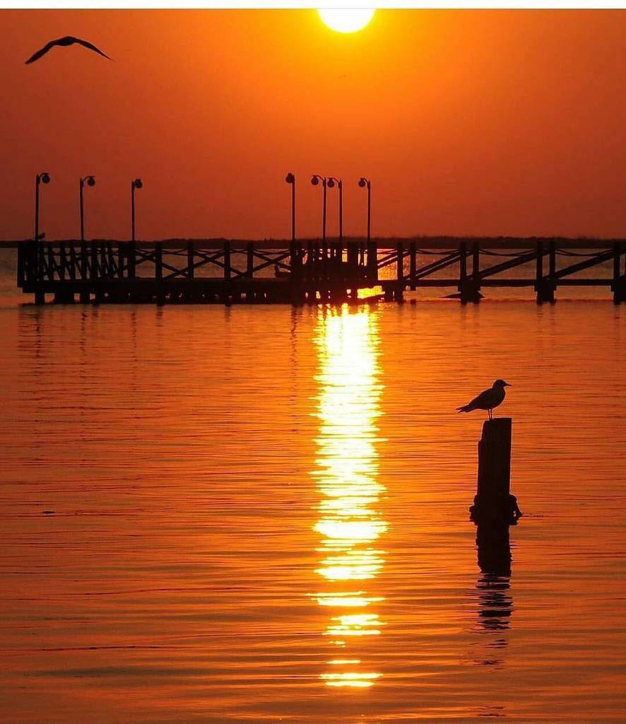 İnstagramda bizi takip edin => instagram.com/sevdamizksk Bostanlı balıkçı barınağı #bostanlı #Karşıyaka fotoğra…