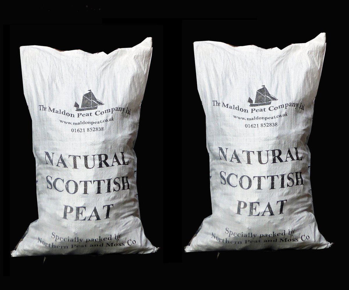 Harry Cockburn tweet media