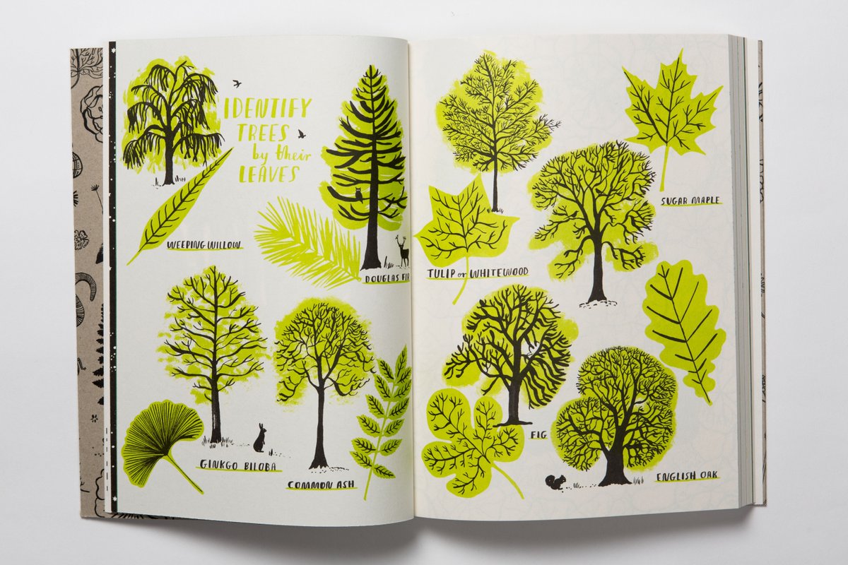 Make the most of the #sunshine - free '#HelloNature' downloads here! bit.ly/1N2QPU5 #nature #childrensbooks