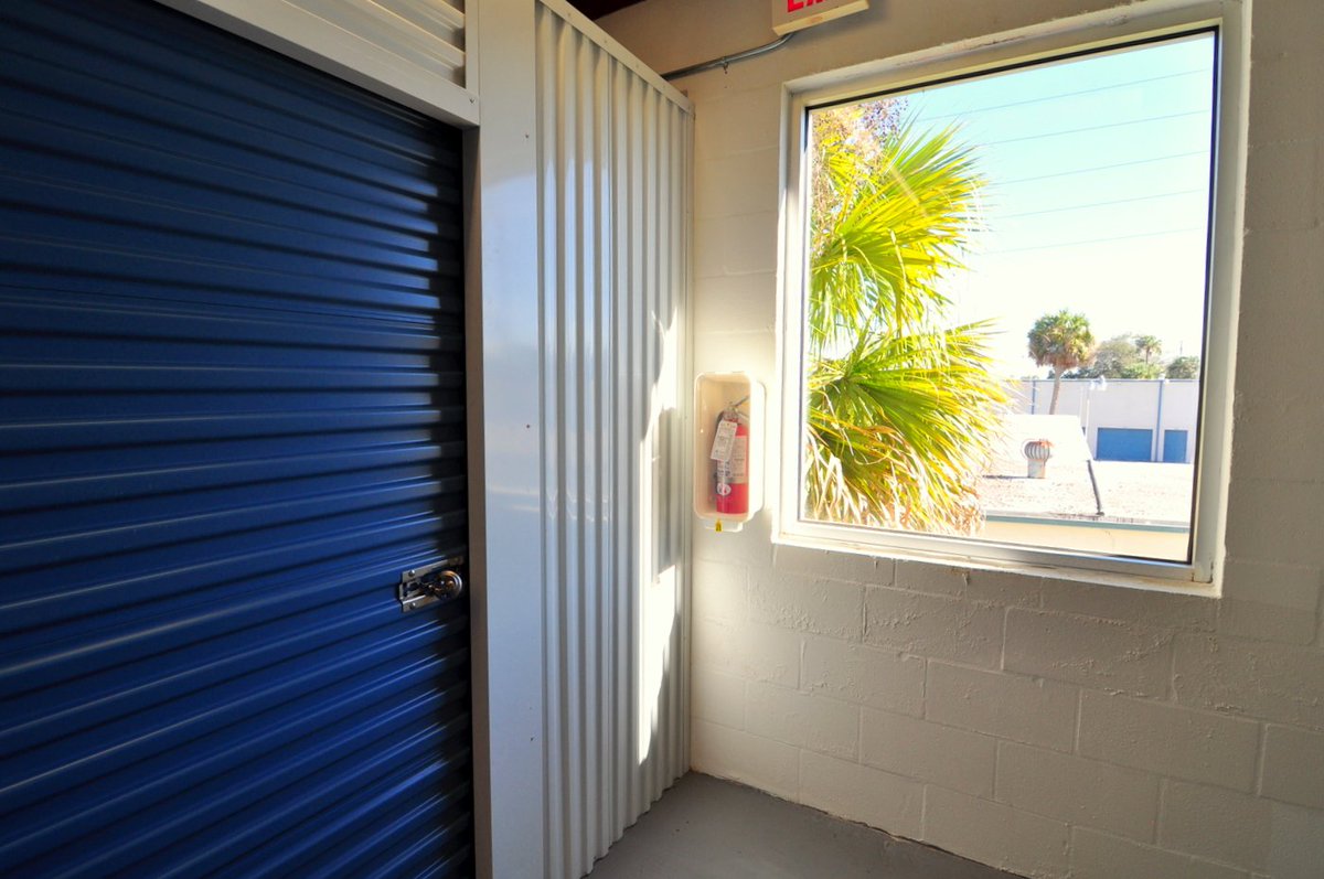 StorageDaytona's tweet image. It's not @DisappearIsland but would palm trees by your storage unit in #Daytona be nice? allaboardstorage.com/self-storage/d…