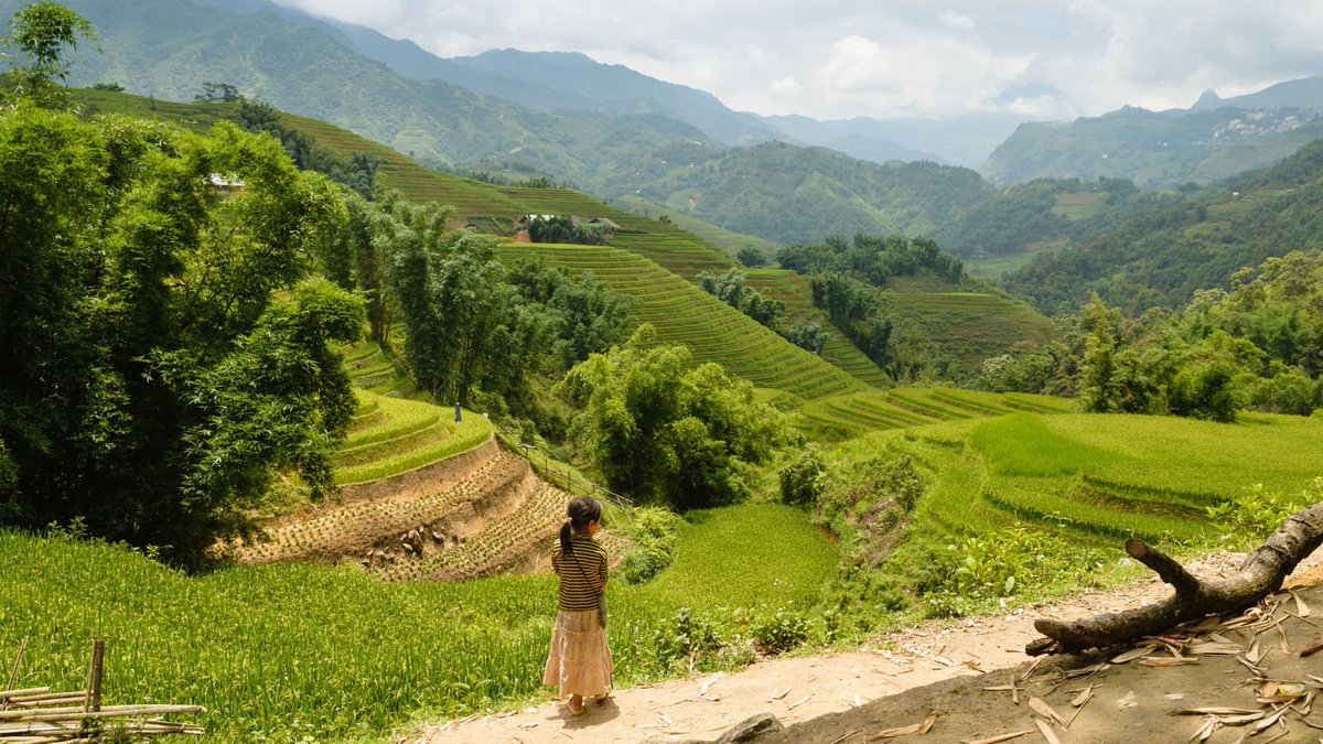 Cheflovesfish5's tweet photo. Sapa - lot of charming shapes during year time,  come and see!!!!!!
https://t.co/fyT70wT03V
#sapatoursfromhanoi https://t.co/PkAAtl1lM4