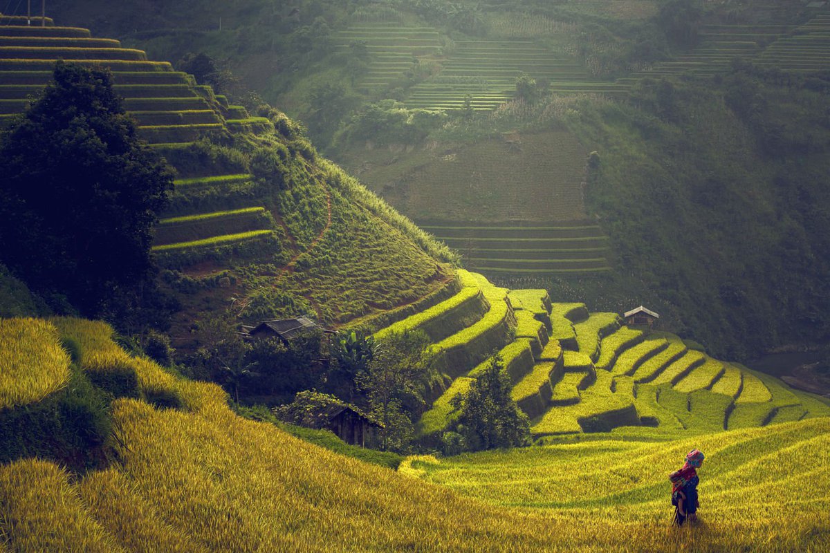Cheflovesfish5's tweet photo. Sapa - lot of charming shapes during year time,  come and see!!!!!!
https://t.co/fyT70wT03V
#sapatoursfromhanoi https://t.co/PkAAtl1lM4
