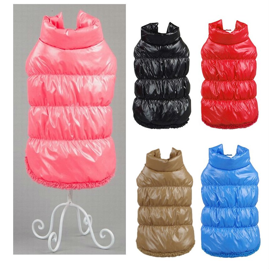 AnimoChic's tweet photo. AnimoChic vous propose la doudoune BUDDY disponible de la taille XS à 3XL
https://t.co/8iQMT7rgNa

#chien   #manteau https://t.co/DbjKcUozXU