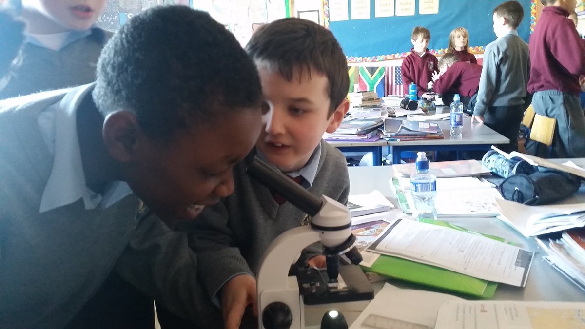 carrigcoderdojo's tweet image. Learning lots about cells today!!!