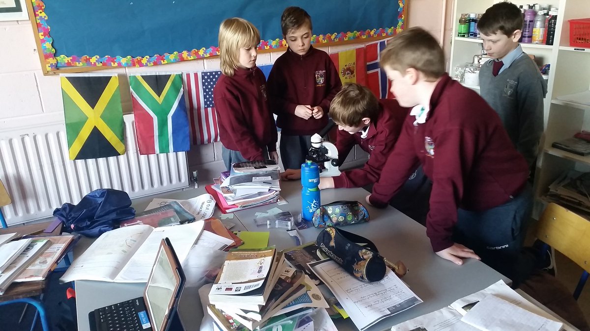 carrigcoderdojo's tweet image. Learning lots about cells today!!!