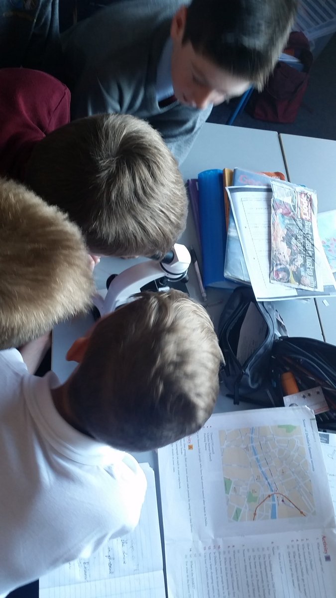 carrigcoderdojo's tweet image. Learning lots about cells today!!!