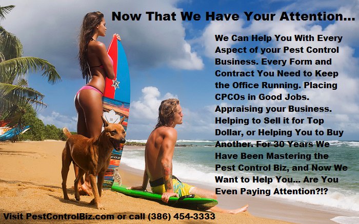 PestControlBiz1's tweet photo. On the lighter side... #pestcontrol #business #appraisal #beach #surfers #dog #bikini 
https://t.co/BhjQG8k5LI https://t.co/uPNbhju87d
