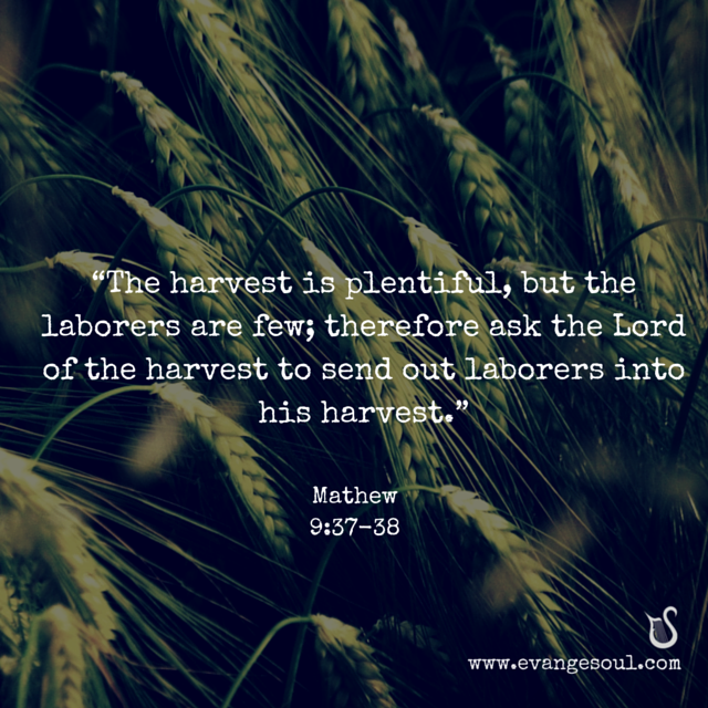 evangesoul's tweet photo. Whom shall I send? #HarvestIsPlentiful #Disciples #Missionary #Witness #Jesus #Mathew9 #Gospel #Evangelist #GoodNews https://t.co/TNQBxDUd4e