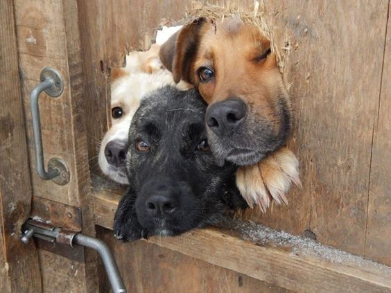 Did someone say coffee?
