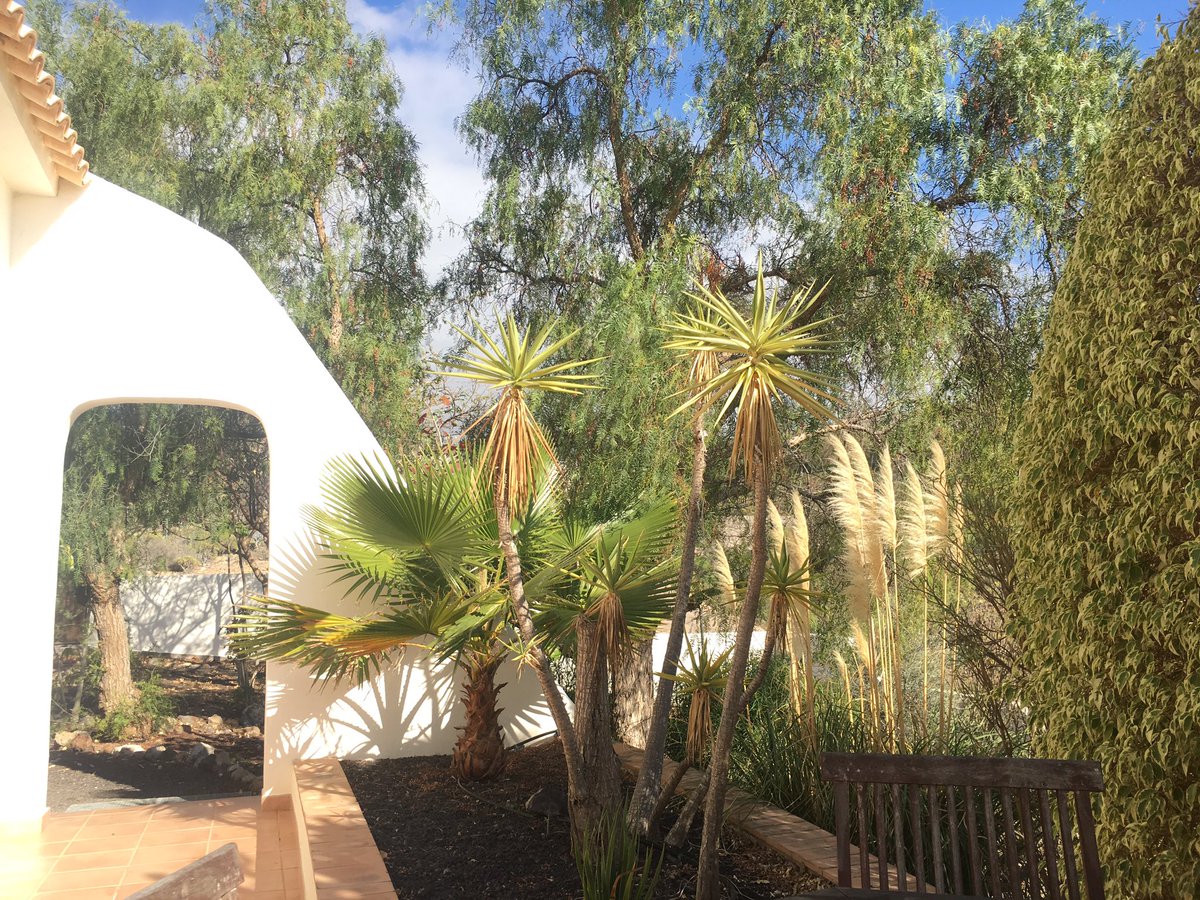 mel_finlayson's tweet photo. Loving life!  Topping up the tan @ 16:35 #20 degrees! #Tenerife https://t.co/slJ1mTMN2d