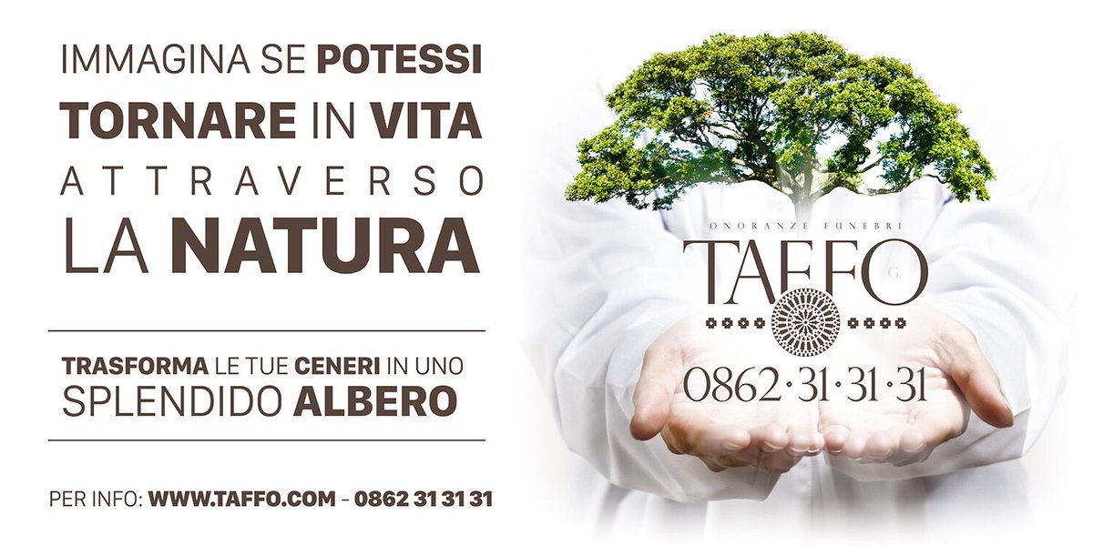 Taffo tweet media