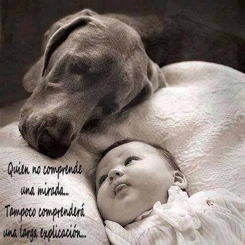 Se agradece ReTweet!! Por favor compartir y difundir!!