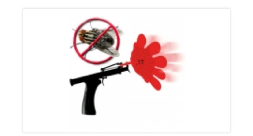 Cheaperboy's tweet photo. Pistola mata moscas por solo 4'85€ https://t.co/ZXnYdFUxpo https://t.co/lPBXQVcgsD