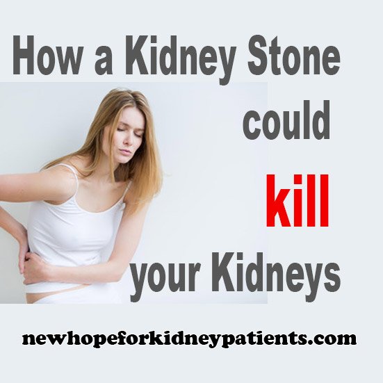 mikewright055's tweet image. #KidneyStones how Kidney Stones could kill your Kidneys
newhopeforkidneypatients.com/kidney-stones-…