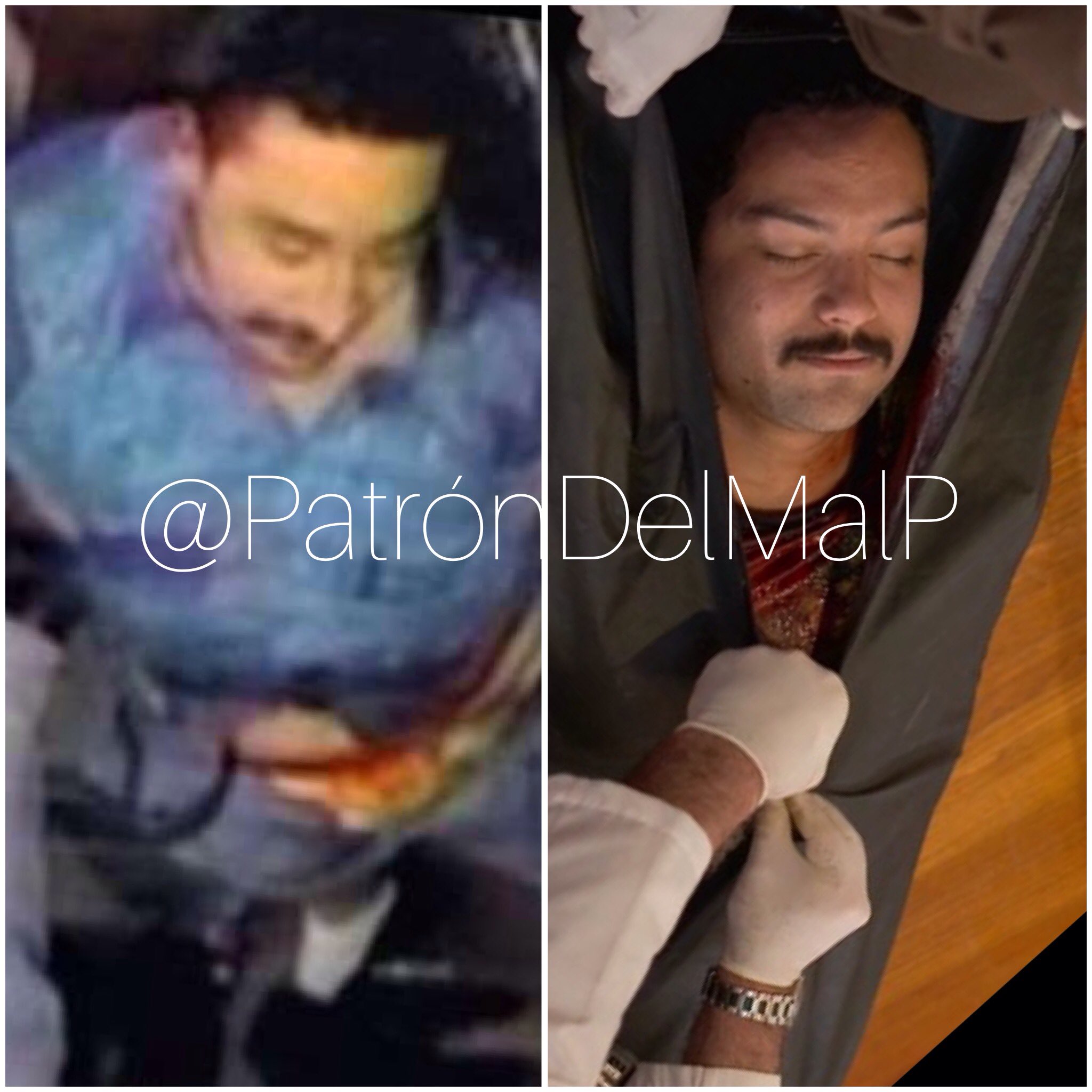 productos quimicos Pico imagina el topo de pablo escobar en la vida real Bailarín menta Adiós productos quimicos Pico imagina el topo de pablo escobar en la vida real Bailarín menta Adiós