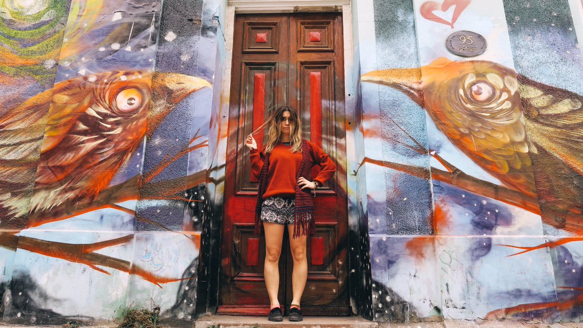 heynadine's tweet photo. Angry Birds 🐤🐧🐦 https://t.co/RWN8WxHIIU #streetart #streetphotography #Valparaiso https://t.co/y1CGvEa67e