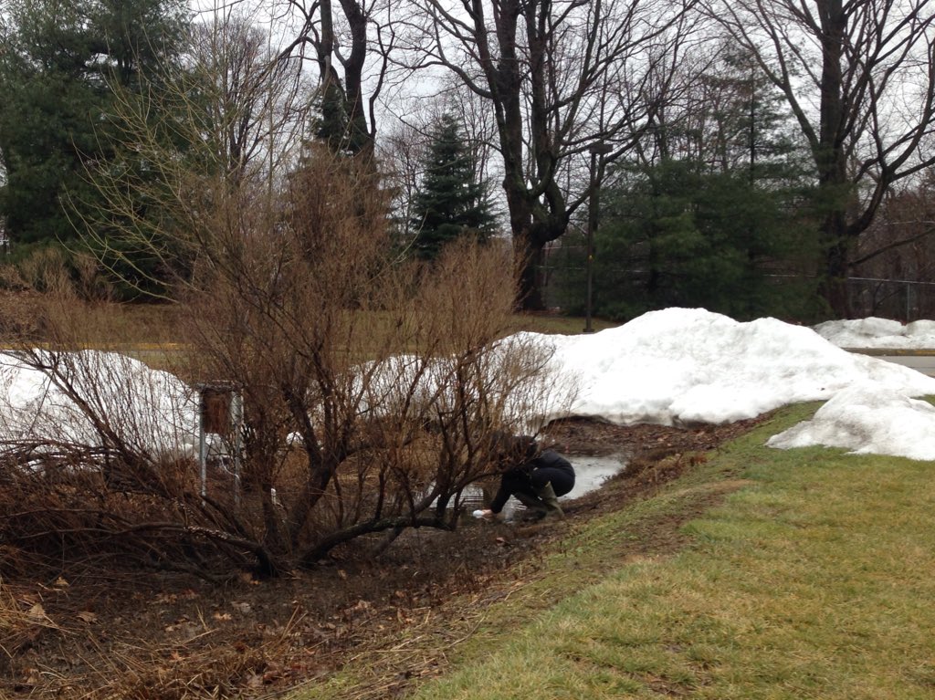 VCRWSteam's tweet photo. winter testing 101: don't forget your boots and gloves! #BTI #snowmelt #stormtesting #vusp https://t.co/FyG1aeJvpV