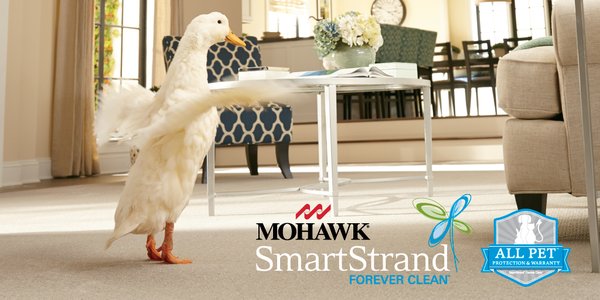 Archer Home Center tweet media