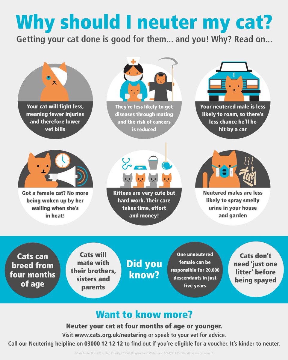 Did you know that, as well as preventing pregnancy, neutering has a range of health benefits? #WorldSpayDay