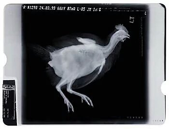 Cb6x4aKXIAAGnPi.jpg:large