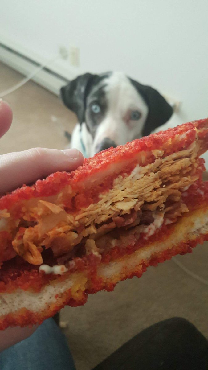HawkeyFan50's tweet photo. @VancityReynolds The Deadpool sandwich from #EpicDeli in #JohnsburgIL #Delish #Epicsandwich https://t.co/iTreYWAfUu
