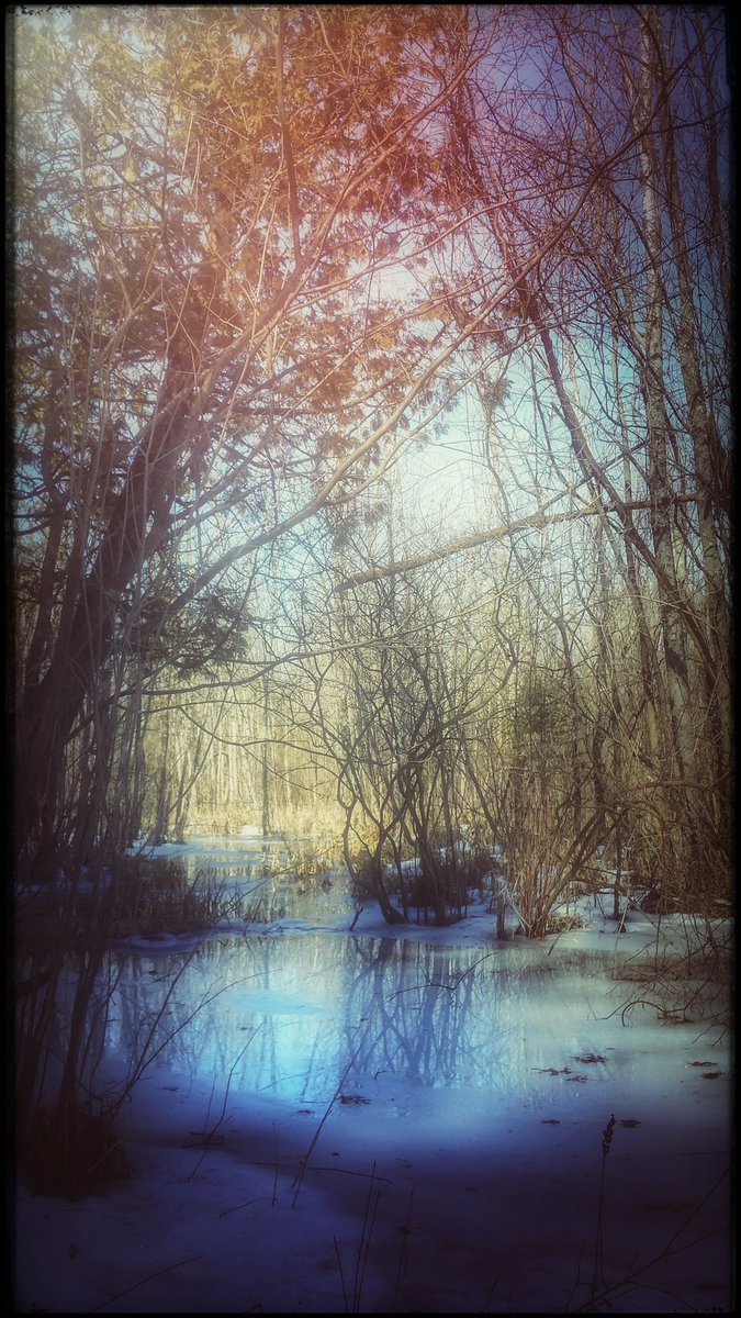 oldearthvoodoo's tweet photo. Those who do not believe in magic will never find it... #mothernature #beauty #peacemob https://t.co/TWDK4yLsui