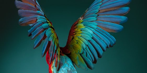 MissHappiness93's tweet photo. Learning how to spread my wings in #techclass #technotues https://t.co/rxgIp7W09q