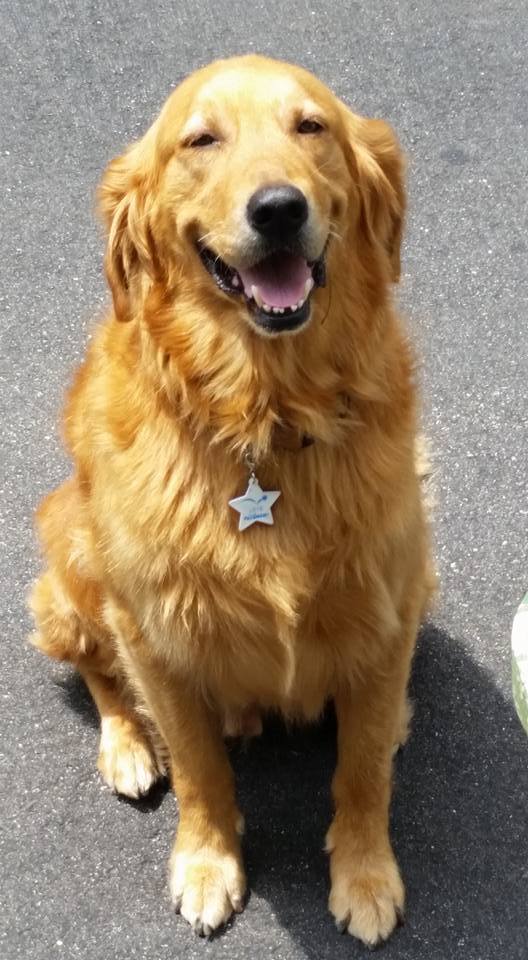 pineacrescivic's tweet photo. Charitable contributions to governmental units are tax-deductible 170(c)(1) IRS. DONATIONS FULLY TAX-DEDUCTIBLE! :} https://t.co/yYqq9ercRH
