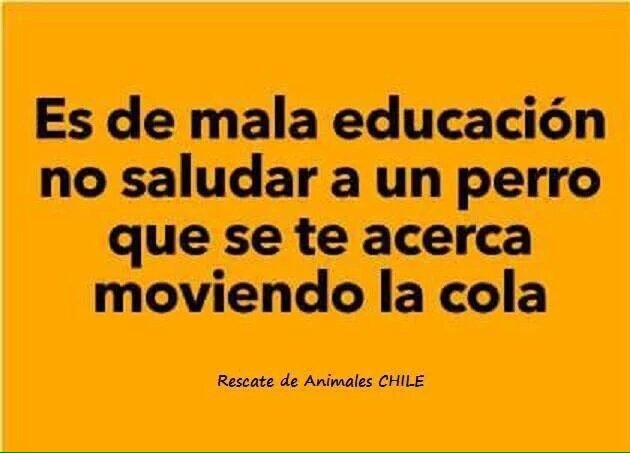 Jose Rivera tweet media