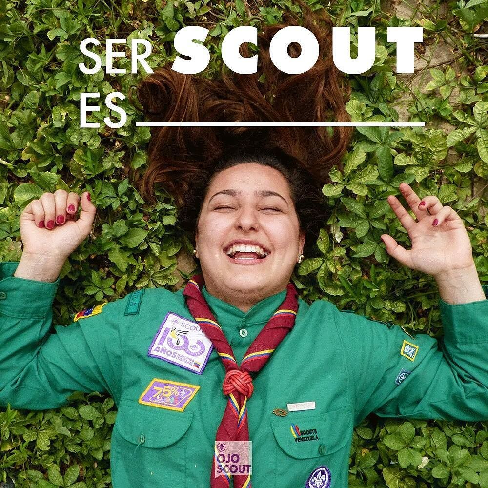 Ojo Scout tweet media
