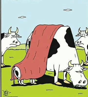 Silvia28282's tweet photo. Cuidado! no se escandalicen las mentes enfermas... #Lactancia https://t.co/3febvlfJ14