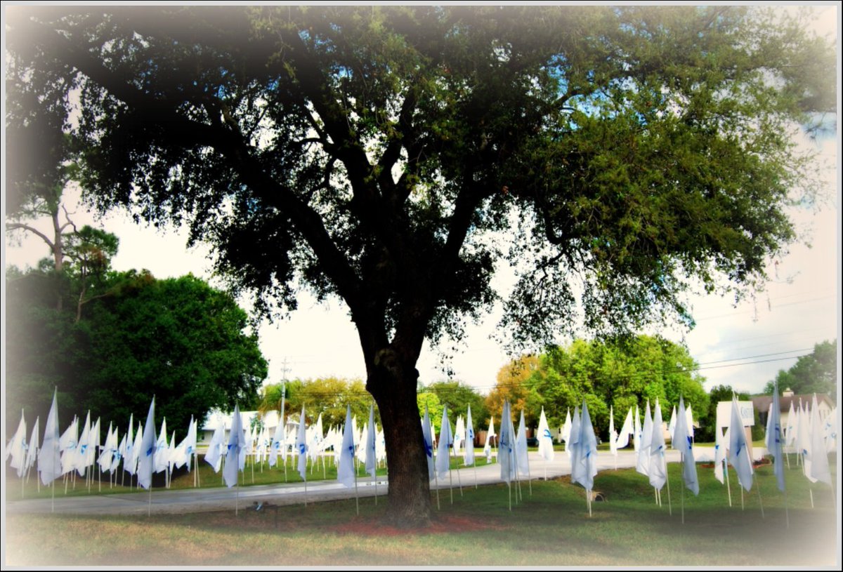 etrowell's tweet image. @WPBF25News Hope to see you at #Castle&apos;s #MemoryField Dedication, tomorrow morning 8:30am #ChildAbusePrevention