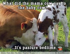 KiaOraMiniFarm1's tweet photo. We are thanking all Mammies (&amp;Nannies) this #MothersDay by offering each 1 #freeadmission #WexfordHour https://t.co/sCZNCPYLwX