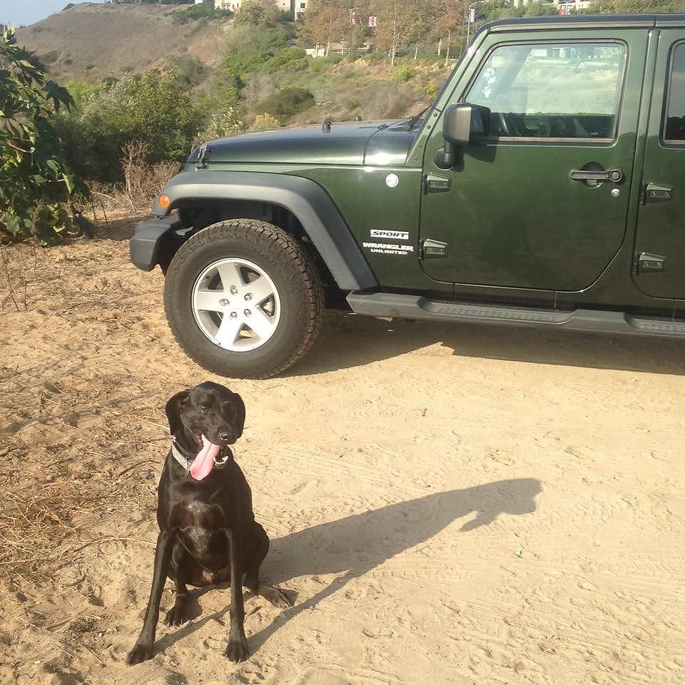 Bring on #trailtuesday. We’re ready. #jeep #wrangler #jeepwrangler #dogs #jeepanddogs #dogsofinstagram #puppiesofin…