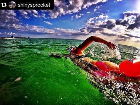 Beeterz_wear's tweet photo. "@IRONMANtri: "effort, blood, sweat ..tears, but I will get there." #findingstrengthinpain #ironmantraining #repost https://t.co/UAY6TdPurG"