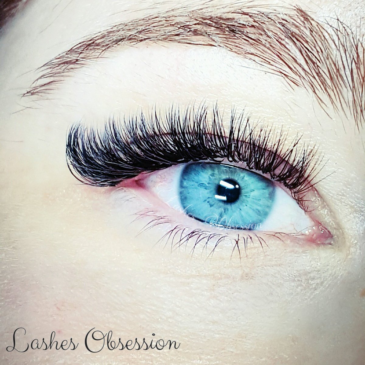 LashesObsession's tweet photo. #Extensionesdepestañas #extensionesvolumen #lashesextension #bellezamadrid #superpestañas #superlashes #lash#lashes https://t.co/BbBuaQFqp4