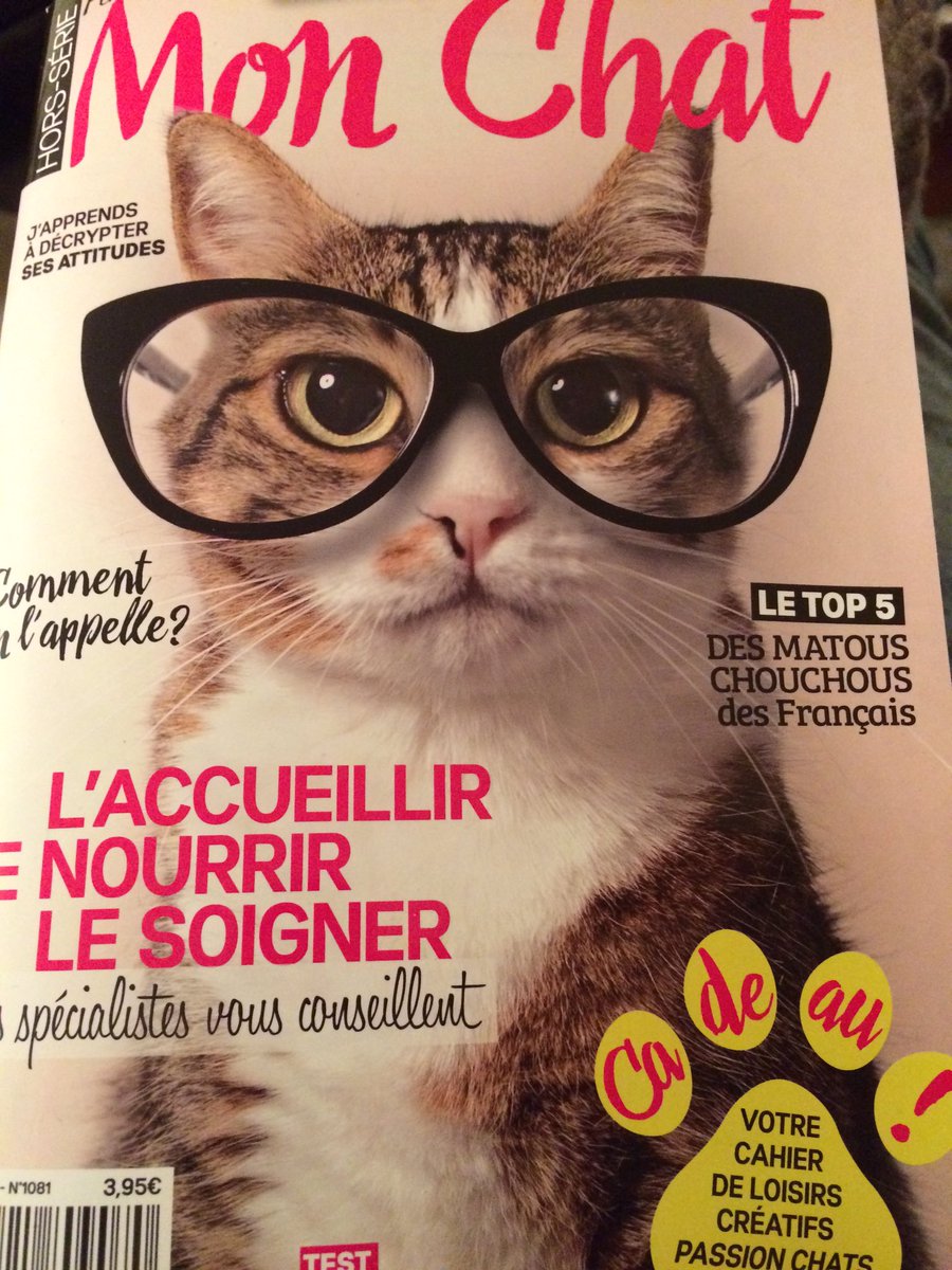 valmuratori's tweet photo. #Chat alors, moi aussi je porte des #binocles. Nom d'un chien. https://t.co/YsZSwd2cPb