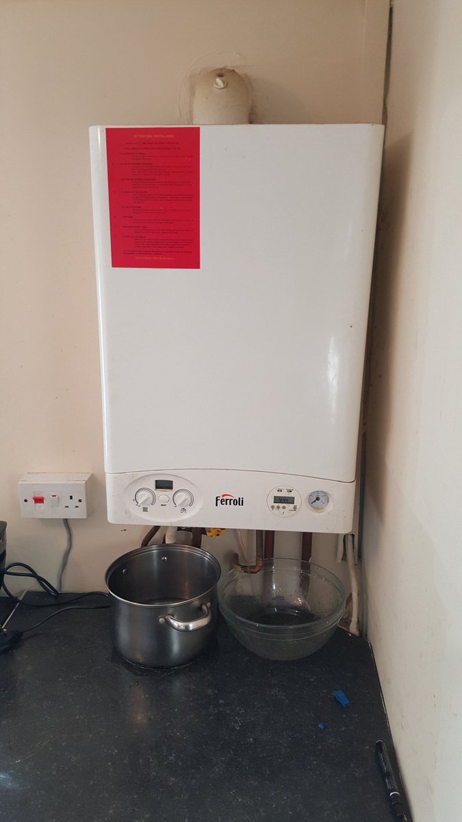 Ben Hill tweet media